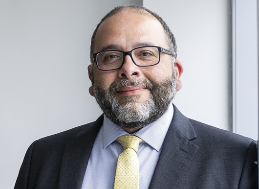 WSP names new major programme director